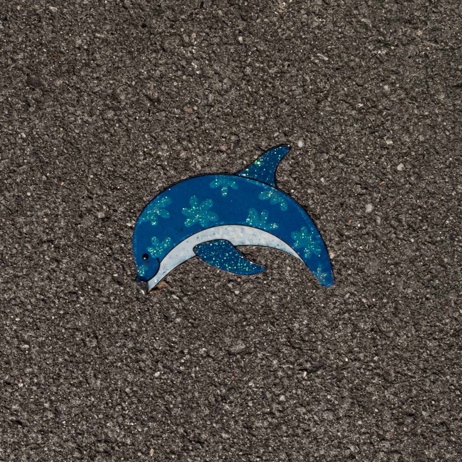 der lachende delphin | 2014
